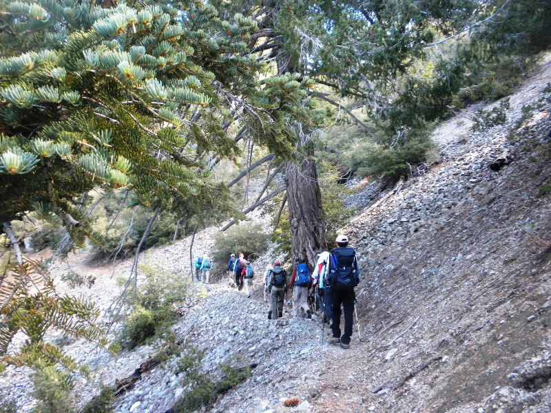 ceglen103110 048.jpg